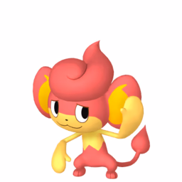 #0513 Pansear