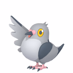 #0519 Pidove