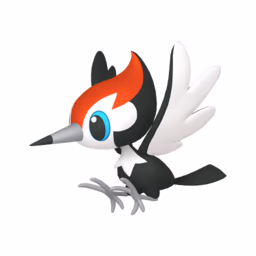 #0731 Pikipek