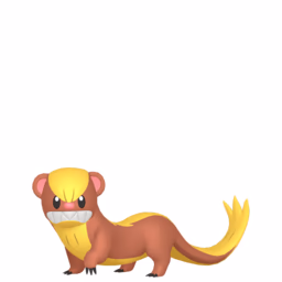 #0734 Yungoos