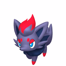 #0570 Zorua